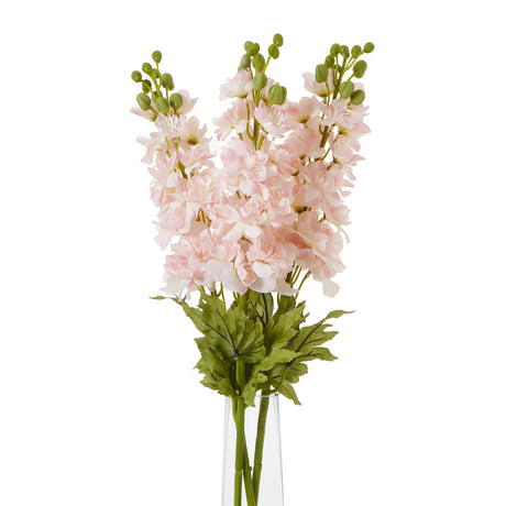 the natural garden collection pink elatum delphinium