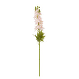 the natural garden collection pink elatum delphinium
