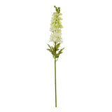 Violette White Elatum Delphinium