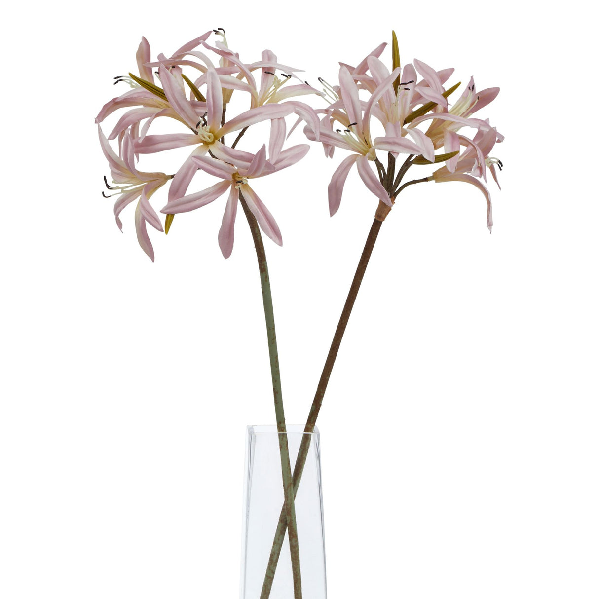 the natural garden collection pink lily stem