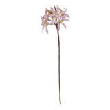 Violette Pink Lily Stem
