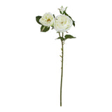 the natural garden collection white charity rose