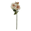 the natural garden collection palest blush tea rose