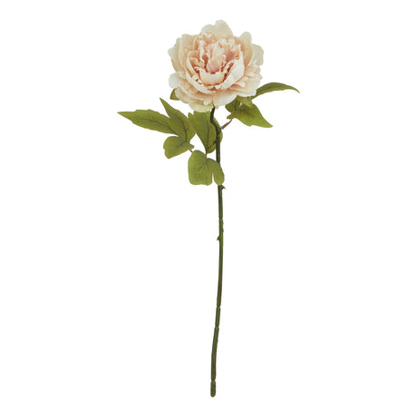 the natural garden collection blush peony