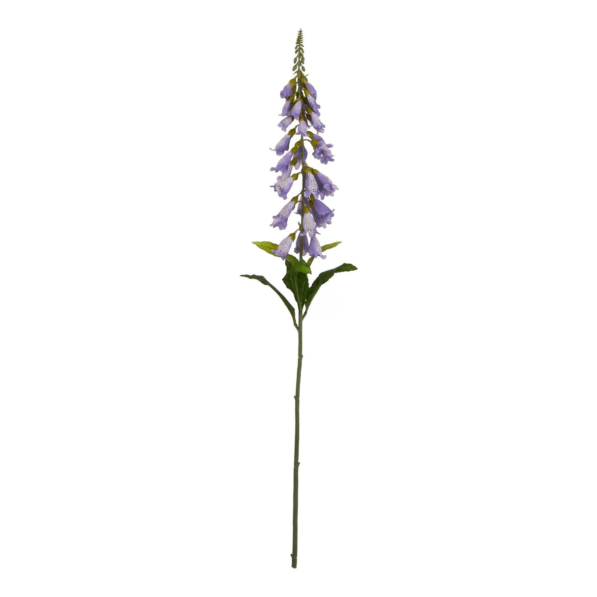 Apolline Purple French Meadow Spray