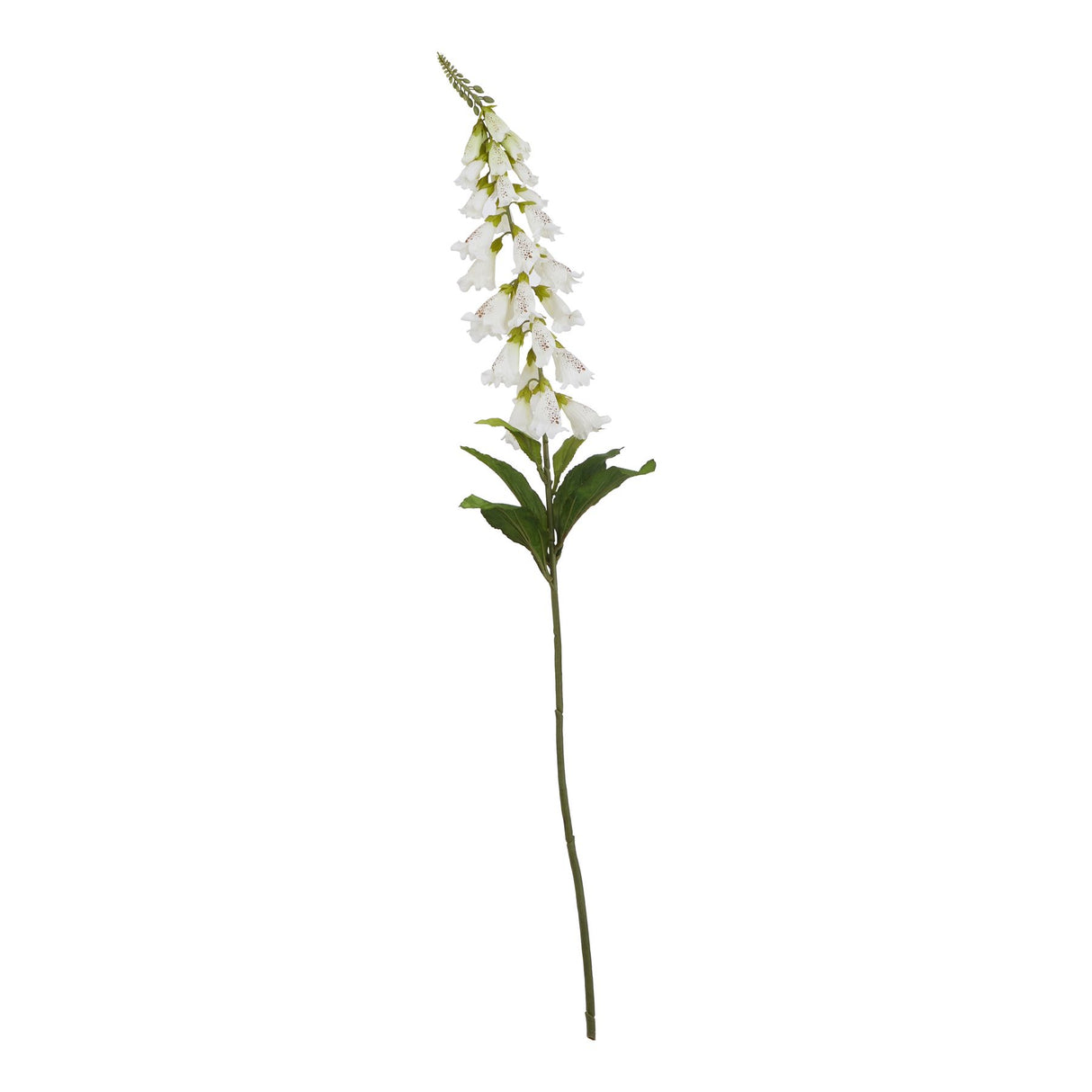 Apolline Green French Meadow Spray