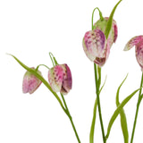 the natural garden collection purple fritillaria stem