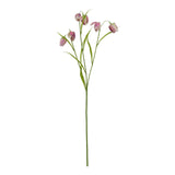 Violette Purple Fritillaria Stem