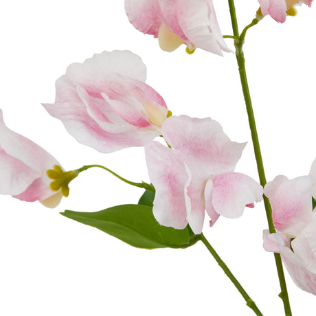 the natural garden collection pale pink sweetpea stem