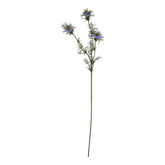 the natural garden collection purple nigella love in a mist