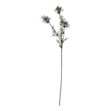 Violette Purple Nigella Love In A Mist
