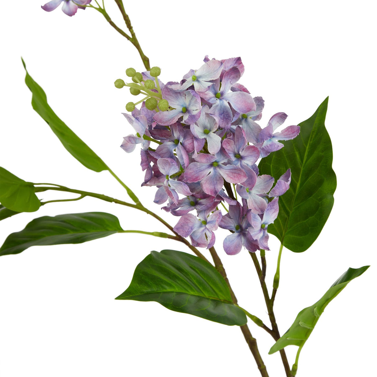 the natural garden collection purple lilac stem