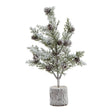 small snowy fir tree with pinecones in wood log