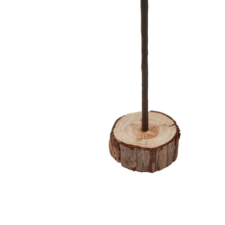 large snowy spindle tree in wood log