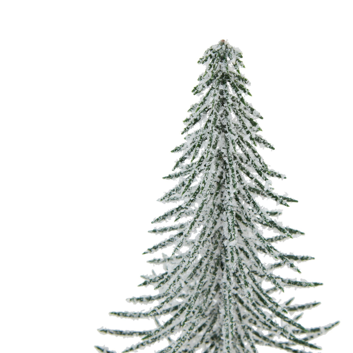 small snowy spindle tree in wood log