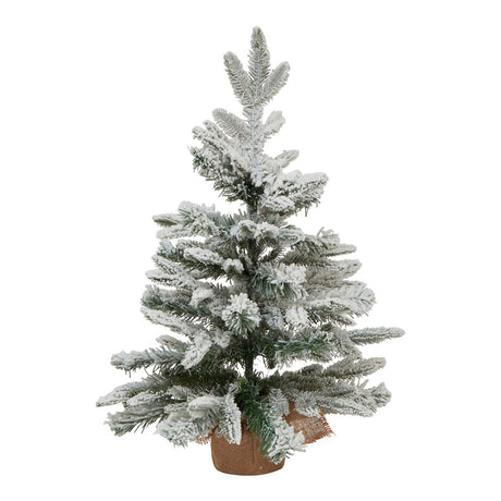 medium snowy spruce tree