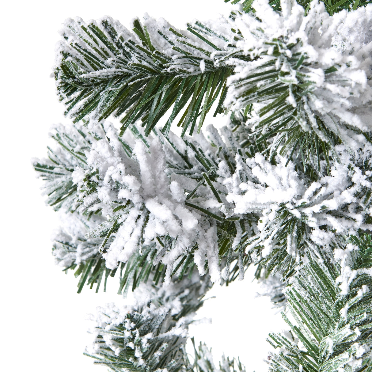 extra large snowy spruce tree