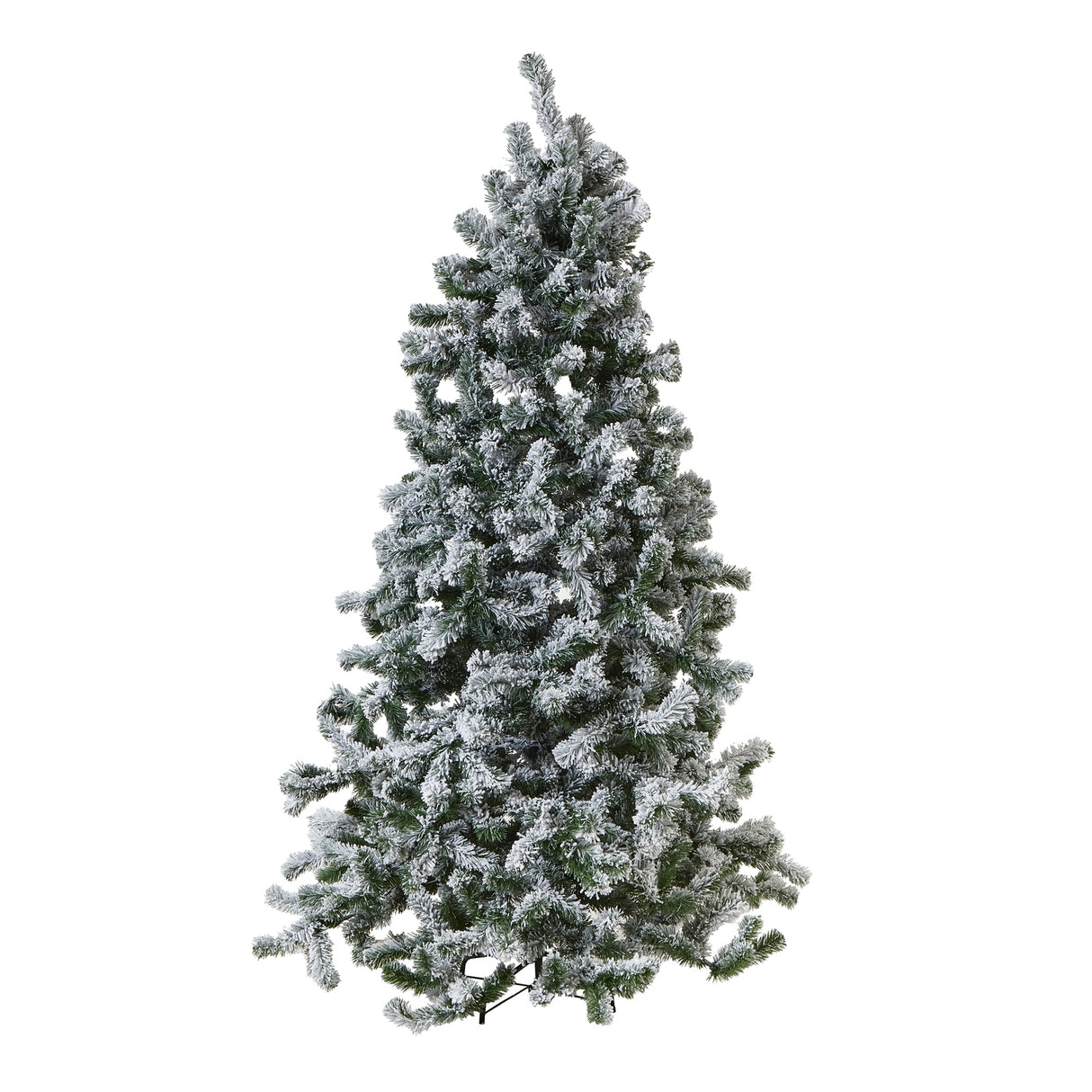 extra large snowy spruce tree