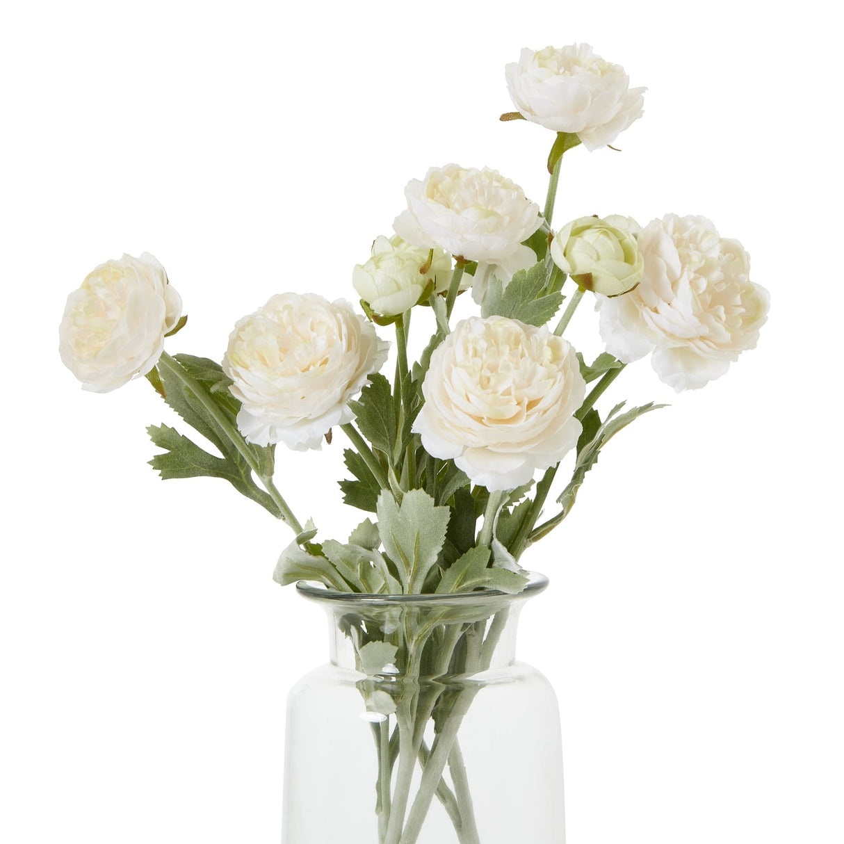 Violette Apricot Ranunculus