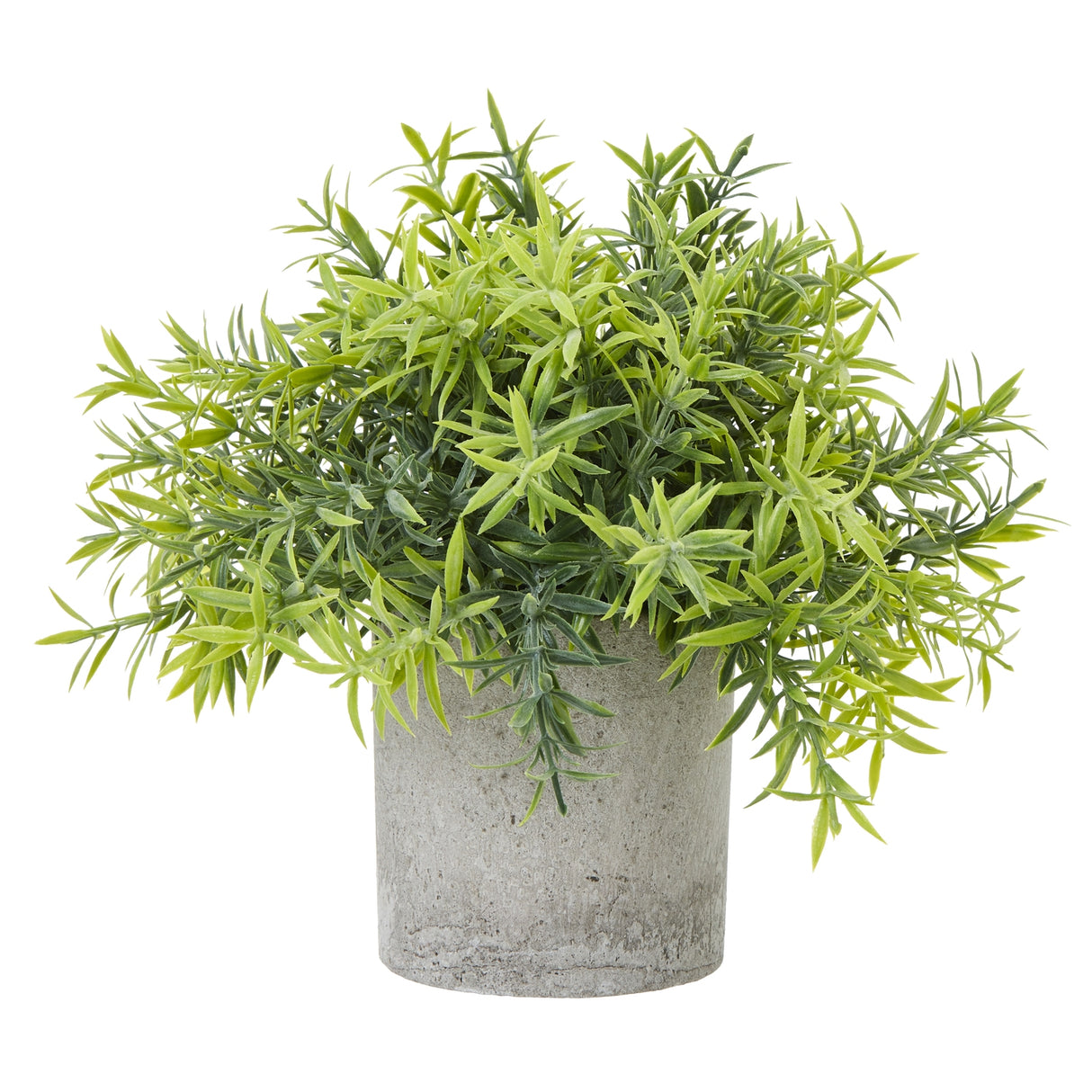 Françoise Small Bamboo Plant In Grey Pot