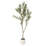 Odette Olive Tree In White Pot 150Cm