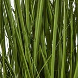 white allium plant in pot