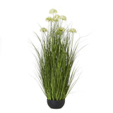 white allium plant in pot