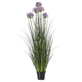 large purple agapanthus plant in pot