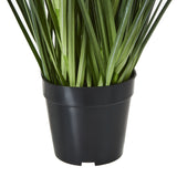 large blue agapanthus plant in pot