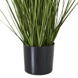 purple agapanthus plant in pot