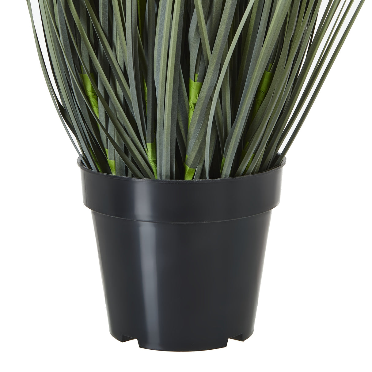 large white meadow plant in pot