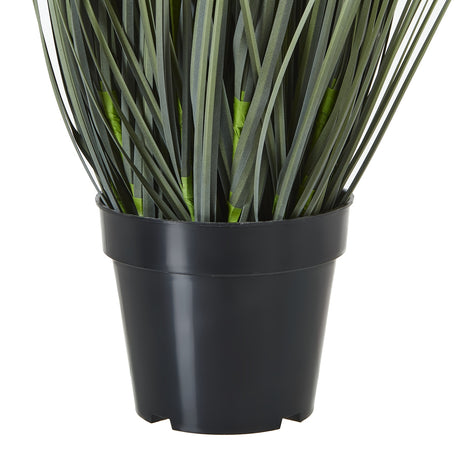 large white meadow plant in pot