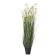 large white meadow plant in pot