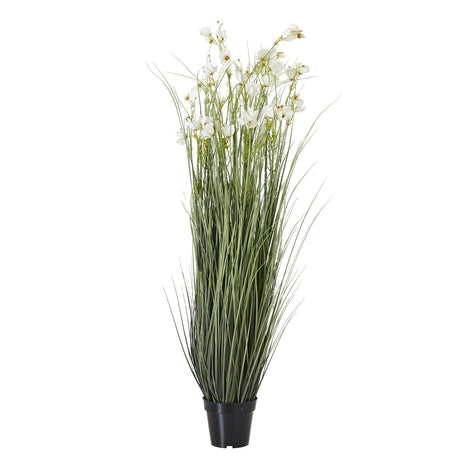large white meadow plant in pot