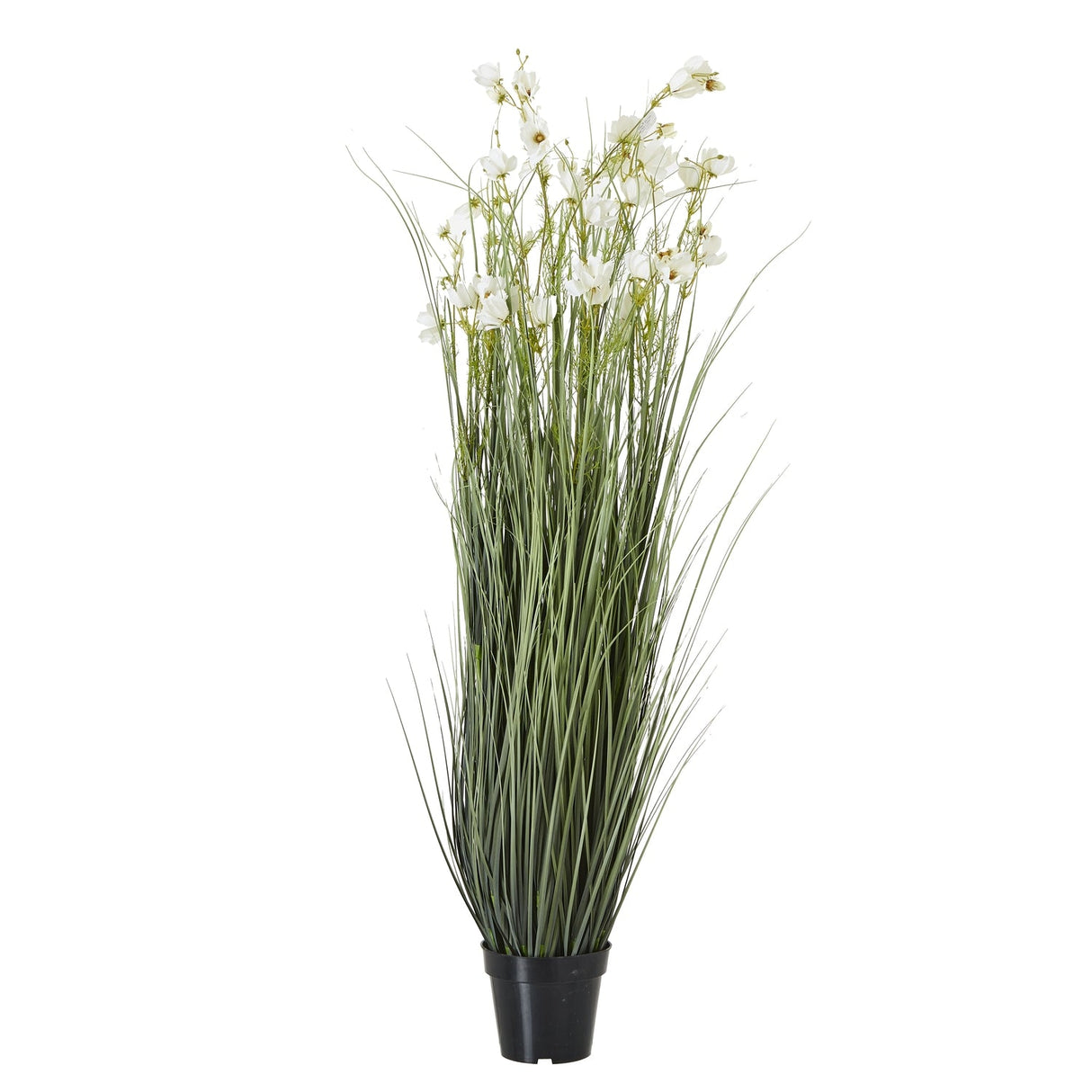 Mirabelle Large White Orchid In Ceramic Pot