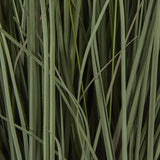 large fountain grass plant in pot