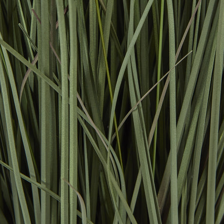 large fountain grass plant in pot