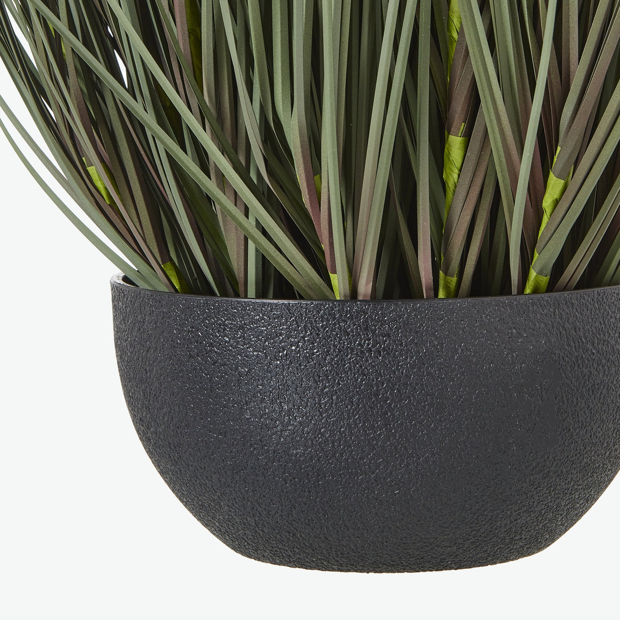 large fountain grass plant in pot