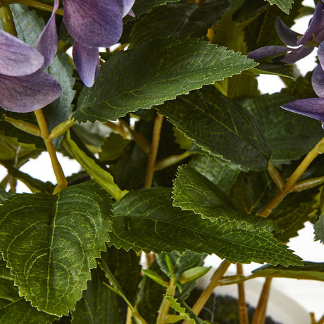 medium purple hydrangea plant in pot