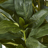 large white peony plant in pot