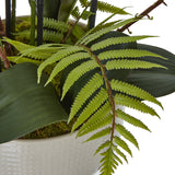large white orchid in ceramic pot