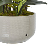 large white orchid in ceramic pot