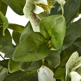 green hellebore plant in taupe pot