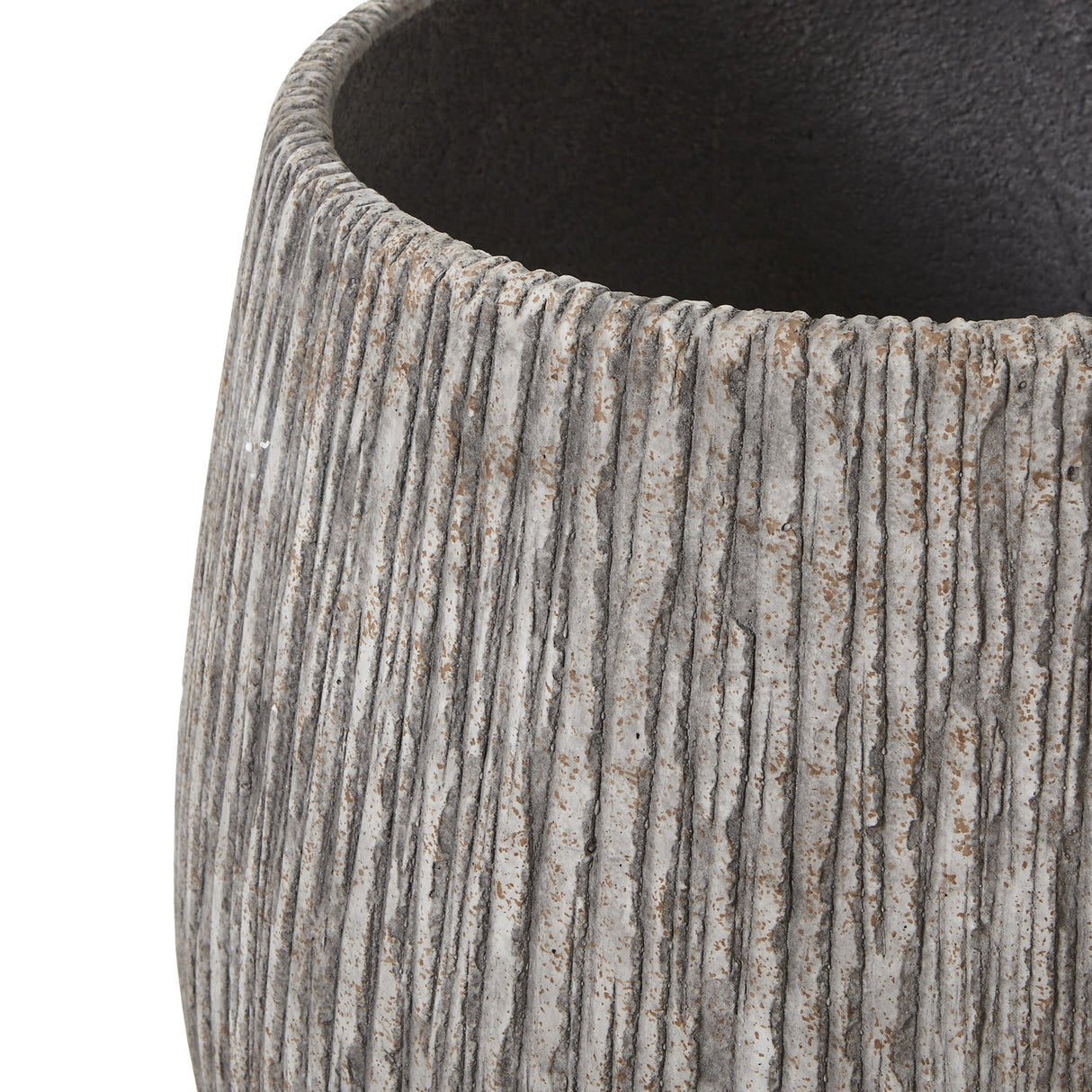 green hellebore plant in taupe pot