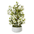 large white hellebore in grey pot