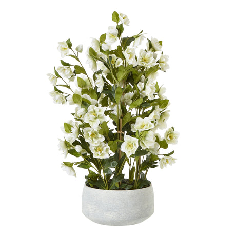 large white hellebore in grey pot