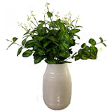 variegated leaf spray