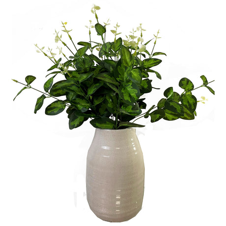 variegated leaf spray