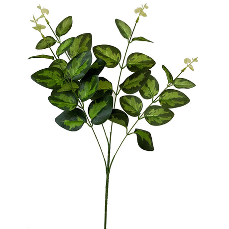 variegated leaf spray