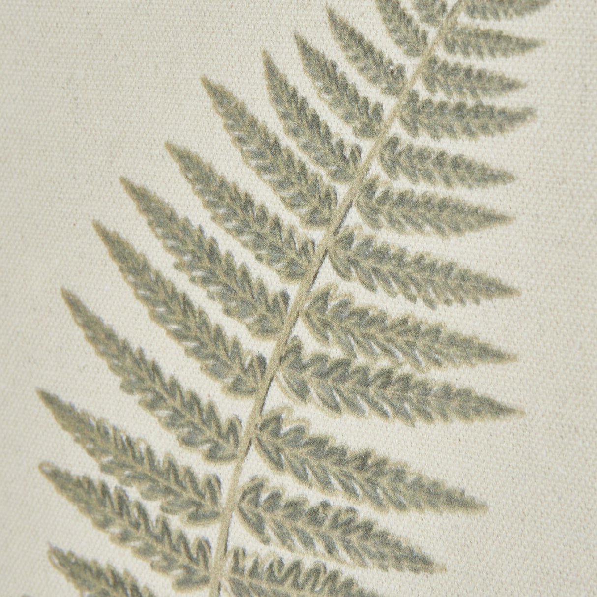 fern art on texture torn paper with beaded frame